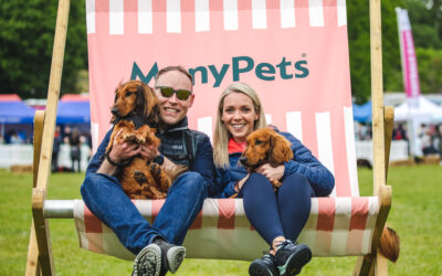 DogFest is back & heading to Belvoir Castle!