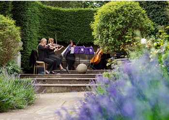 Image of string quartet paying in the garden