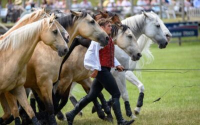 Festival of the Horse