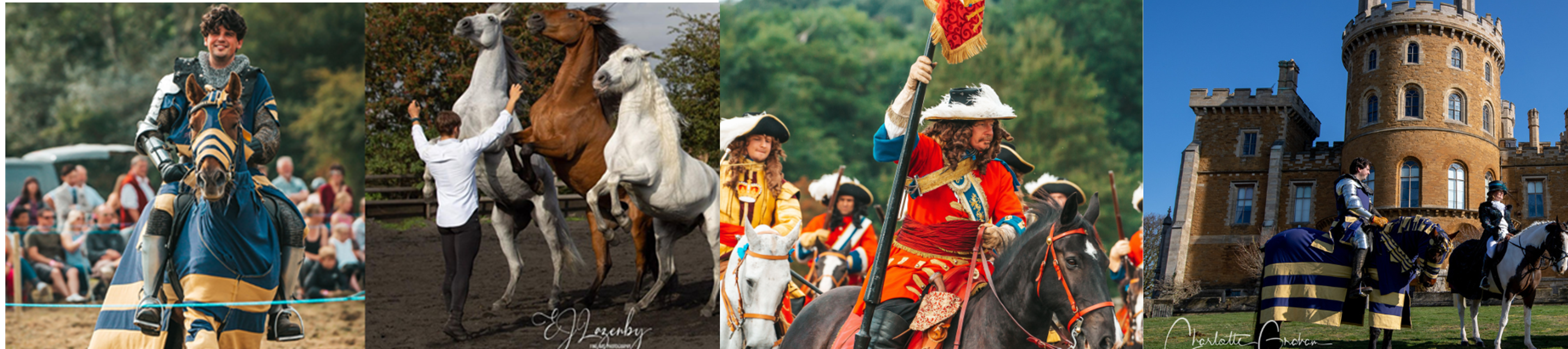 4 images of Festival of the Horse acts