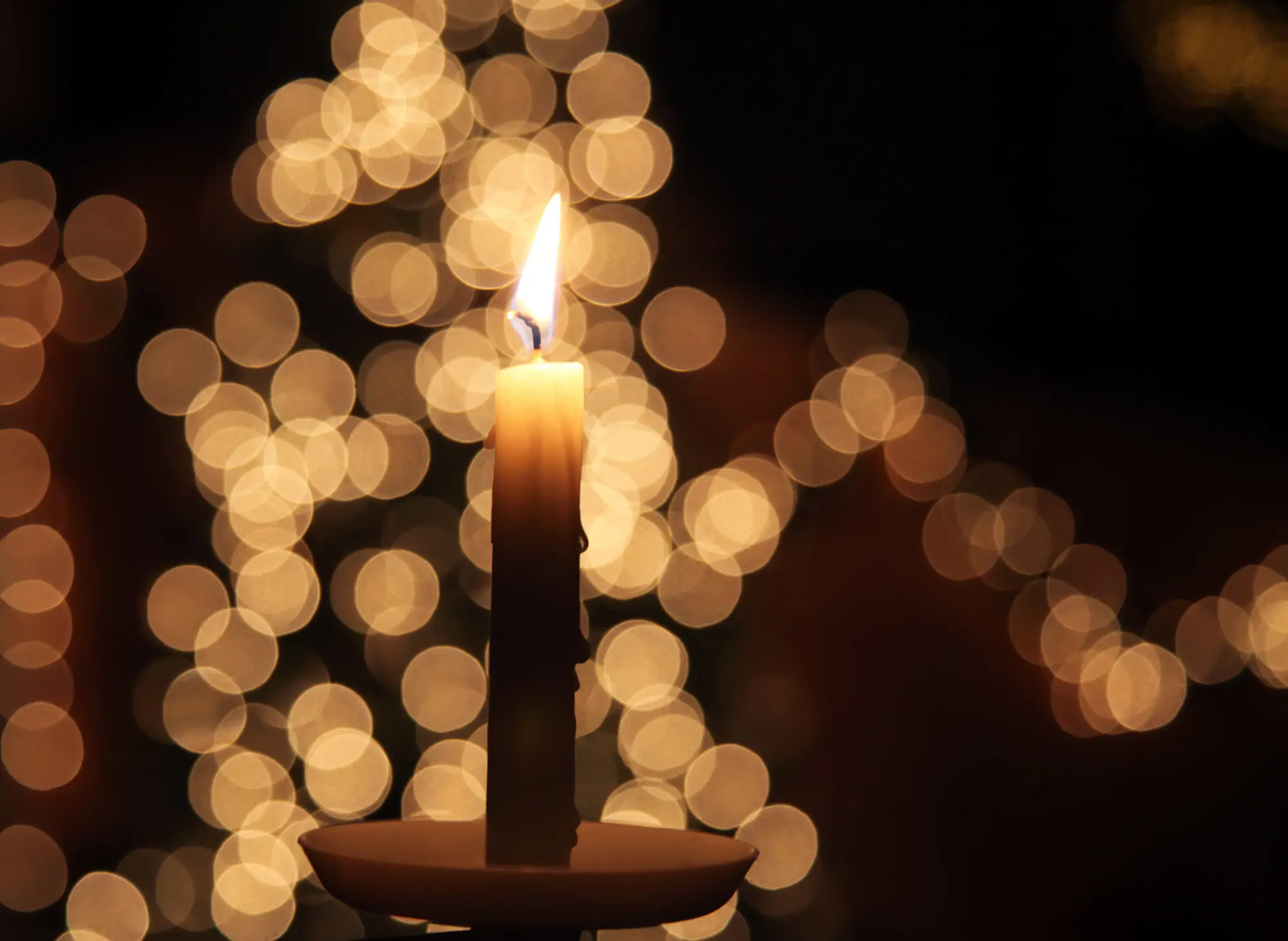 Castle by Candlelight — adults-only Christmas evening at Belvoir Castle 2026